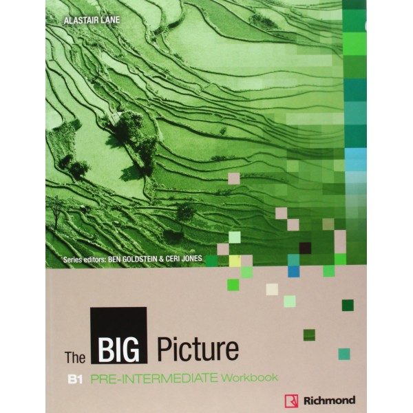 The Big Picture Pre-Intermediate Workbook + Audio CD
