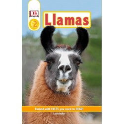 Level 2 Llamas