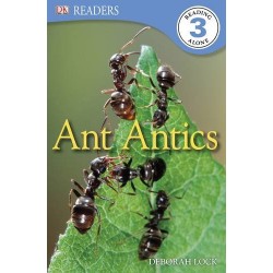 Level 3 Ant Antics