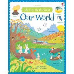 My First Book About Our World, Felicity Brooks