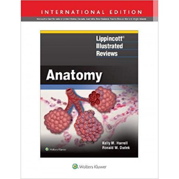 Lippincott  Illustrated Reviews: Anatomy