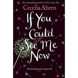 If You Could See Me Now , Cecelia Ahern