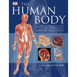 The Human Body, Tony Smith 