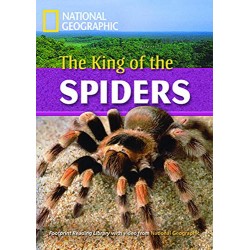 Level C1 The King of the Spiders + DVD