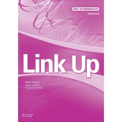 Link Up Pre-intermediate Workbook
