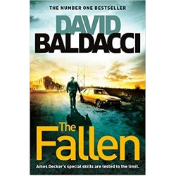 The Fallen, Baldacci