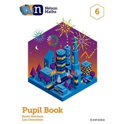 Nelson Maths: Pupil Book 6