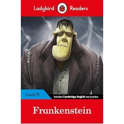 Level 6 Frankenstein