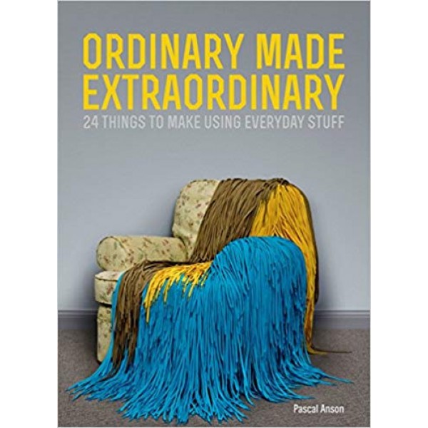 Ordinary Made Extraordinary, Anson
