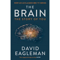 The Brain: The Story of You, Eagleman