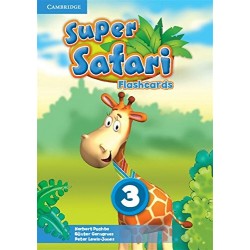 Super Safari Level 3 Flashcards