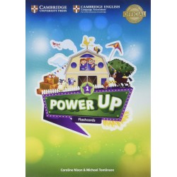 Power Up Level 1 Flashcards (Pack of 179)