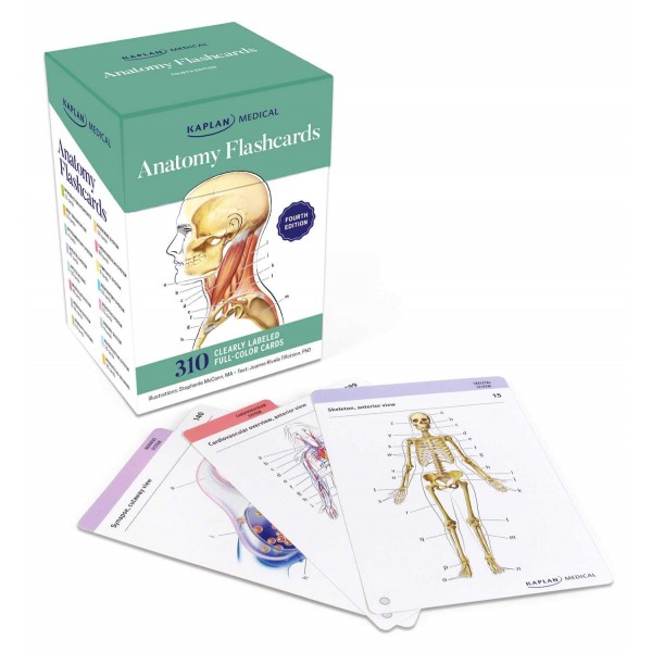Anatomy Flashcards 4th Edition, Joanne Tillotson