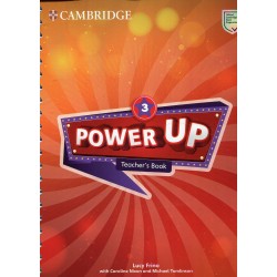 Power Up Level 3 Teacher's Book