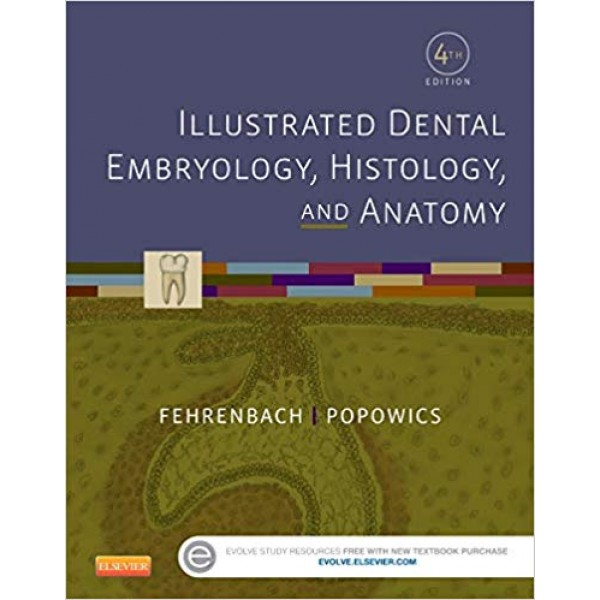 Illustrated Dental Embryology, Histology, and Anatomy 4th Edition, Margaret J. Fehrenbach
