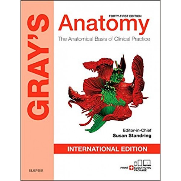 Gray's Anatomy: The Anatomical Basis of Clinical Practice 41st Edition, Susan Standring